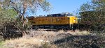 UP 9821